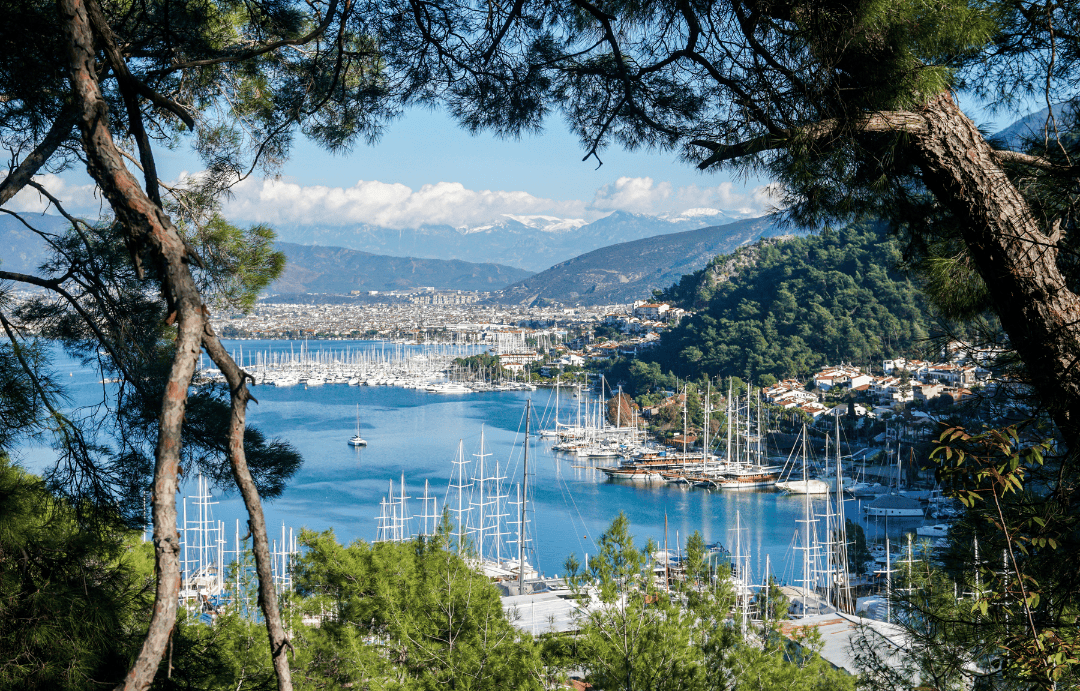 Picturesque view of Fethiye Harbor and marina through pine trees, with sailboats and distant mountains under a blue sky.